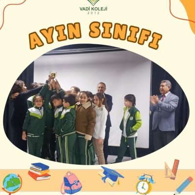 ayın sınıfı